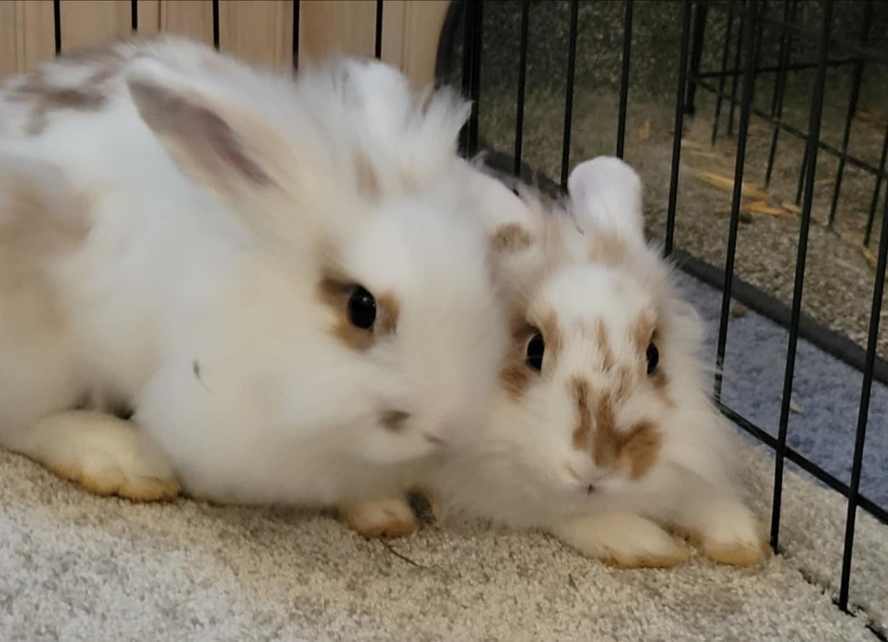 Libby and Ginger